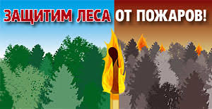 Профилактические меры по предупреждению лесных пожаров