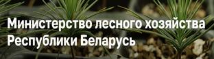 Министерство лесного хозяйства Республики Беларусь