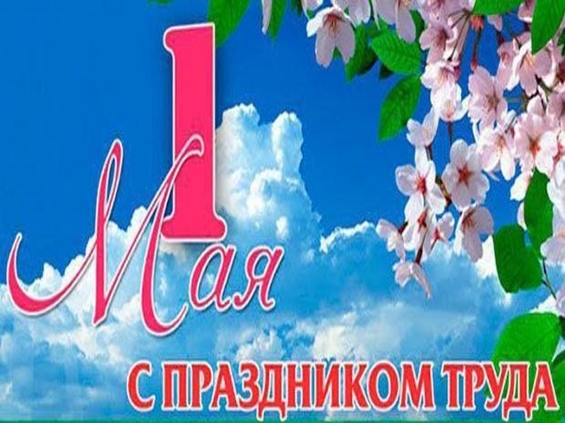 Дорогие коллеги! Уважаемые ветераны лесной отрасли!