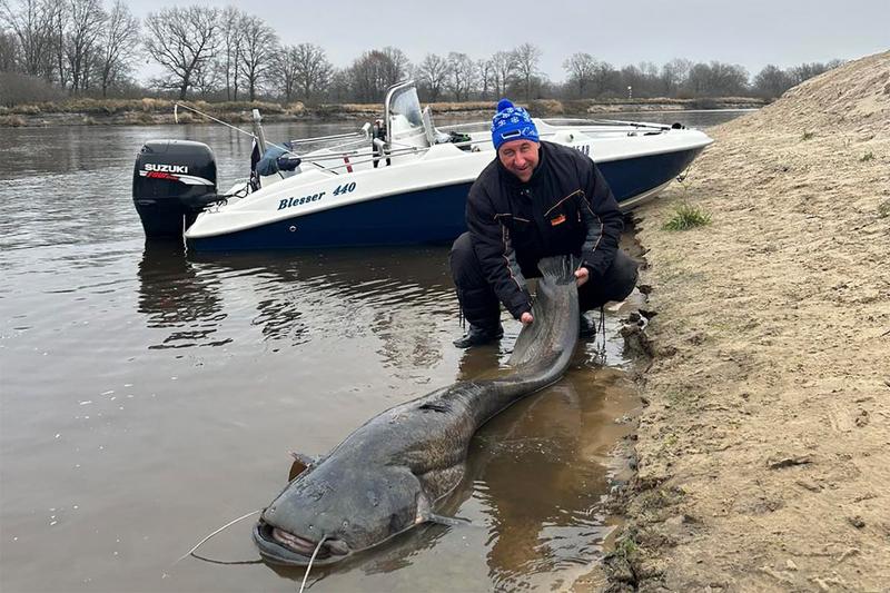 На Припяти поймали сома размером с лодку
