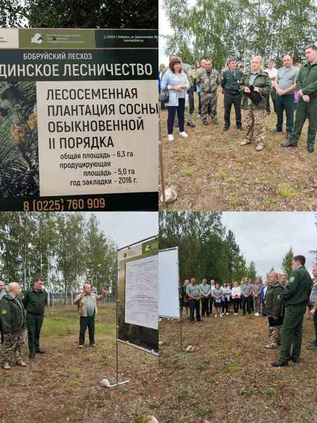 На базе Бобруйского лесхоза состоялся областной семинар