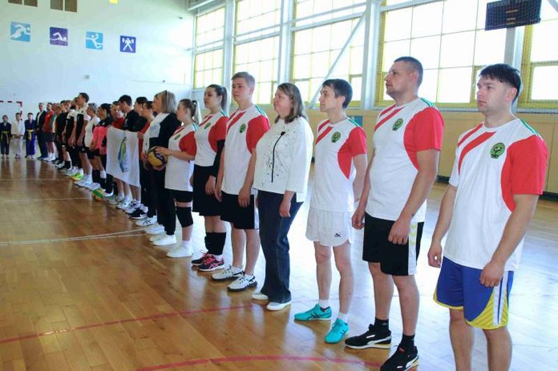 Cоревнования по волейболу