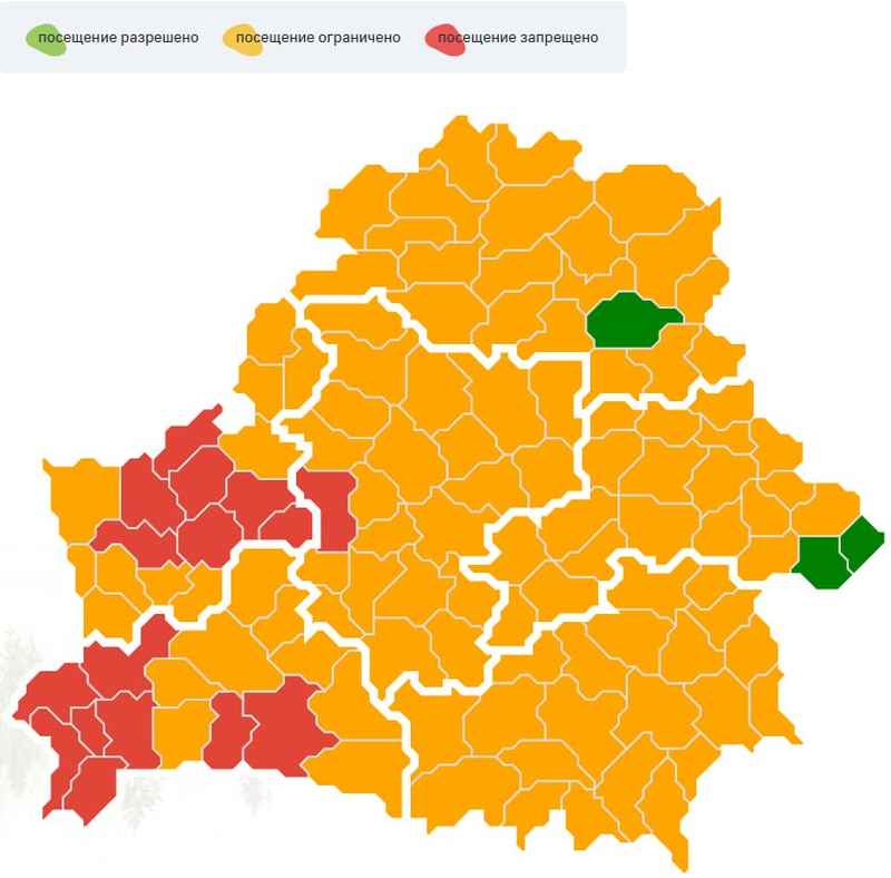 Запреты и ограничения на посещение лесов