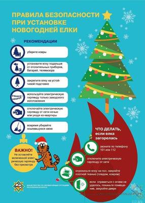 Новогодняя ель — символ праздника.