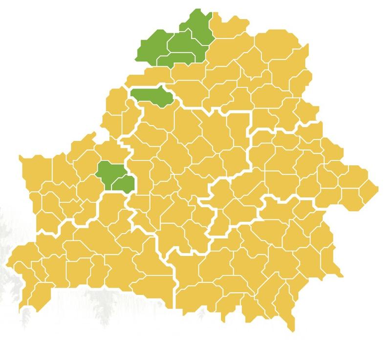 В Беларуси начали вводить ограничения на посещение лесов