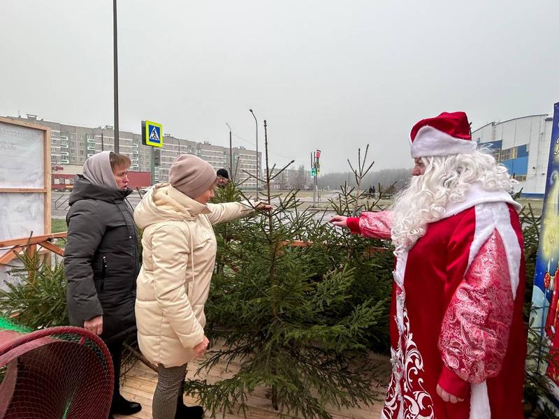 Елочки ждут покупателей!