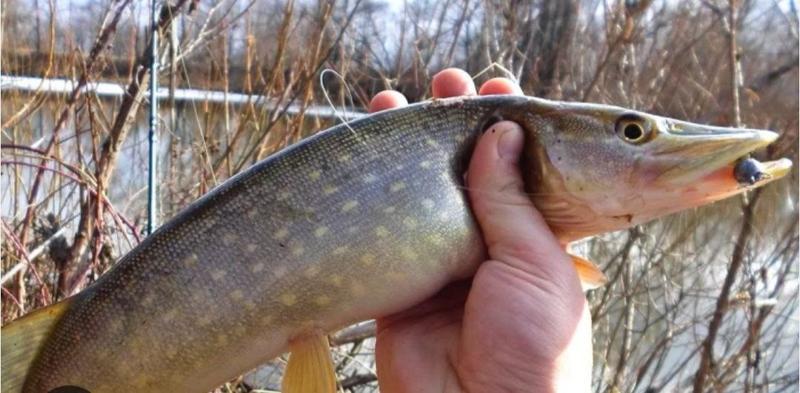 К сведению!