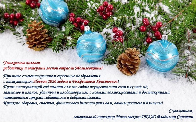 С НОВЫМ ГОДОМ И РОЖДЕСТВОМ!