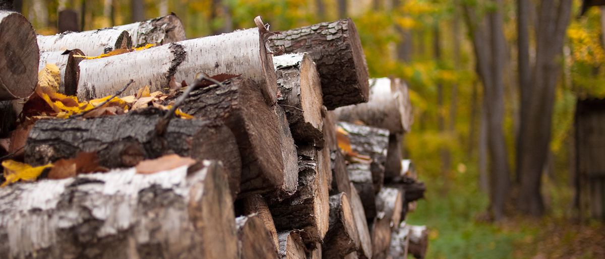 Что надо знать при заготовке дров?