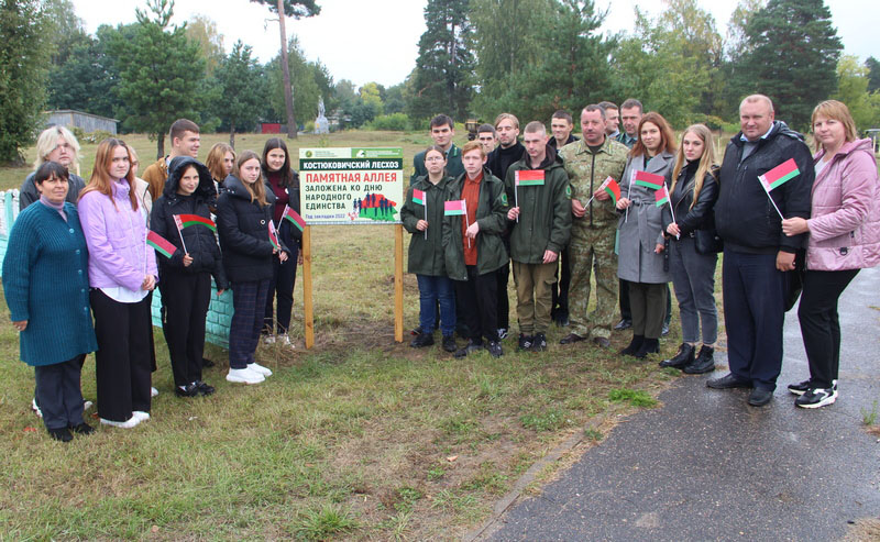 Памятную аллею заложили молодые специалисты лесхоза и учащиеся на территории Белынковичского лесничества